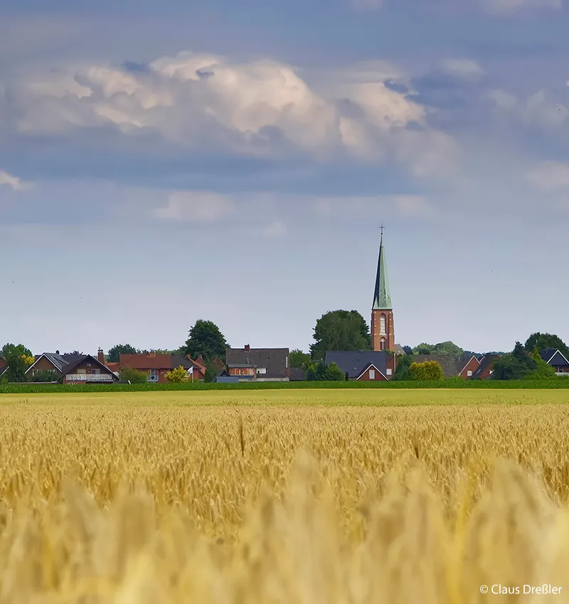 Ein Getreidefeld im Vordergrund mit dem Dinklager Panorama im Hintergrund