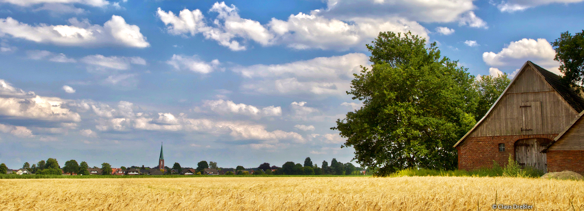 Ein Getreidefeld im Vordergrund mit einer alten Scheune im Hintergrund unter blauen Himmel